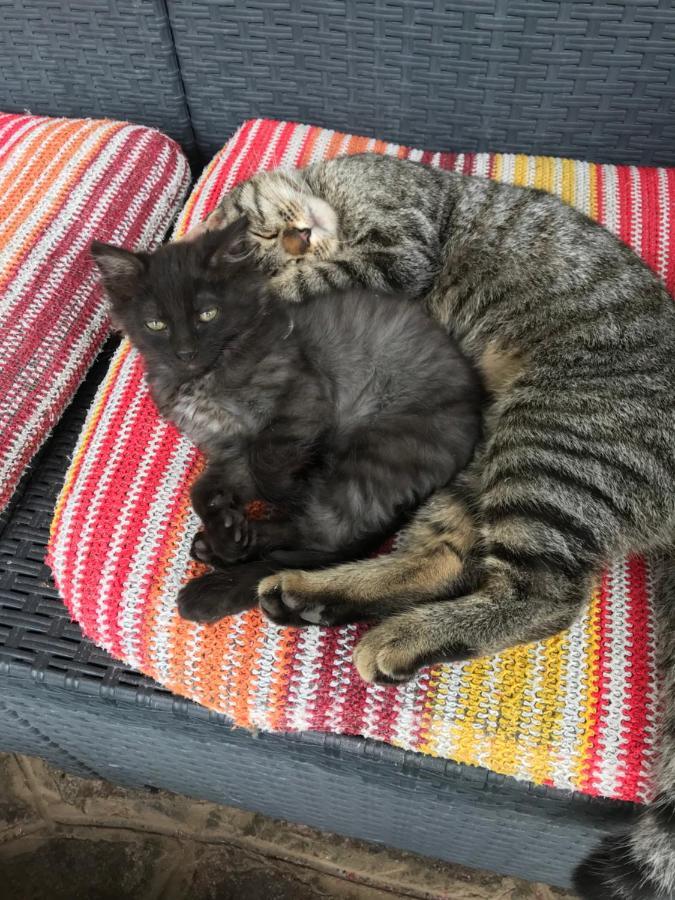 "Ai 4 Soli" Cermenate Buitenkant foto