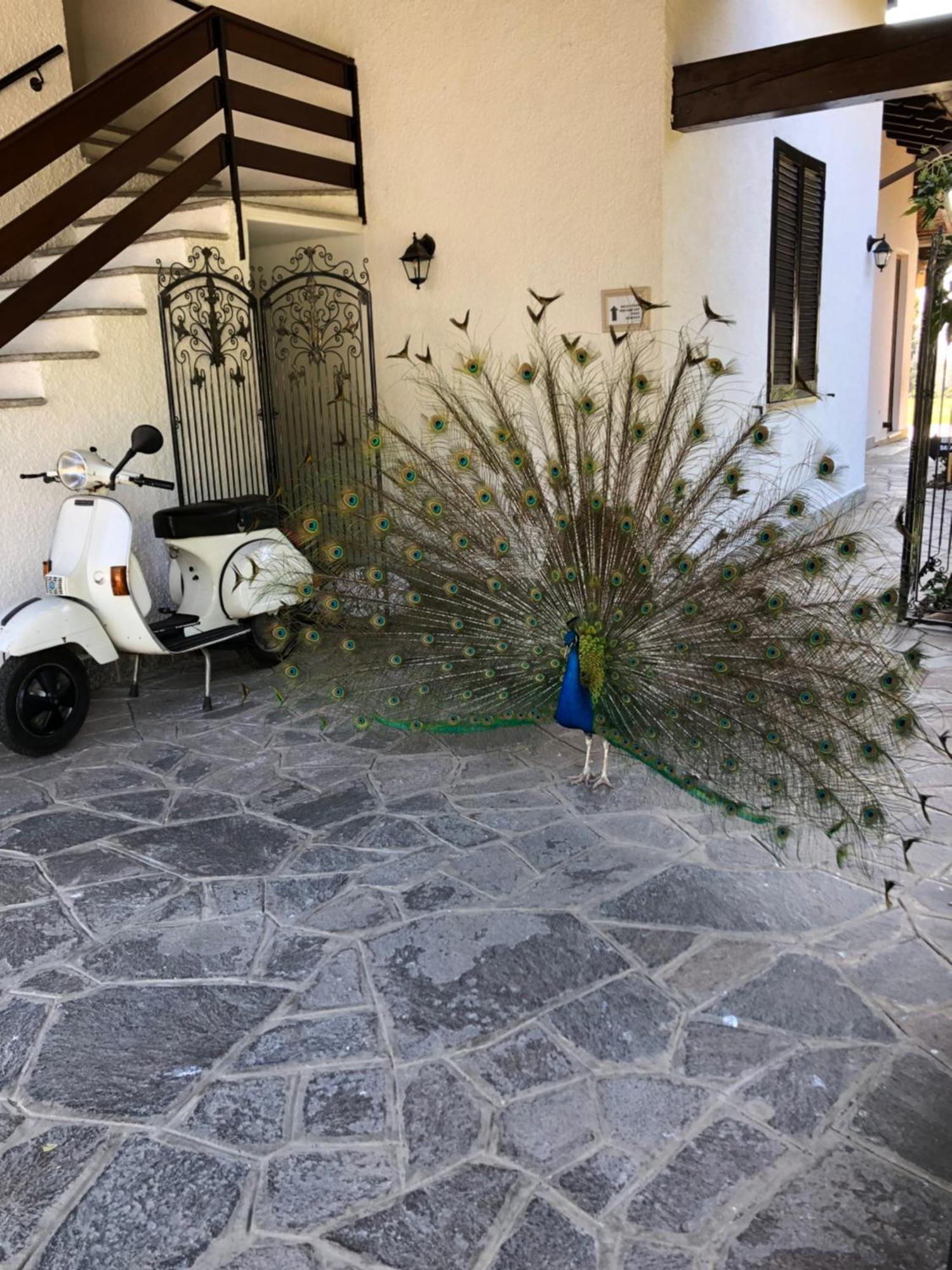 "Ai 4 Soli" Cermenate Buitenkant foto
