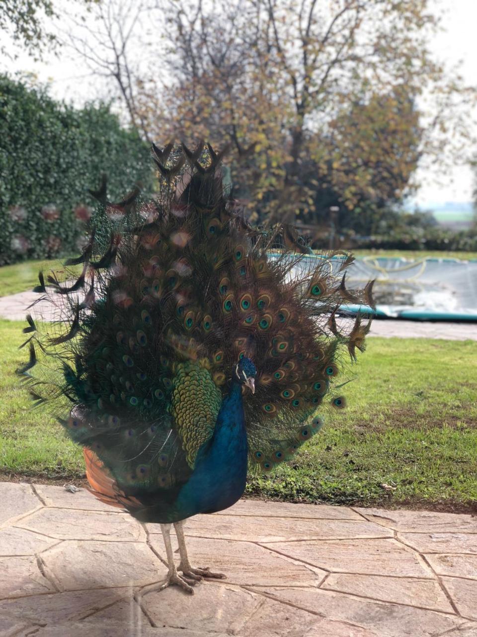 "Ai 4 Soli" Cermenate Buitenkant foto